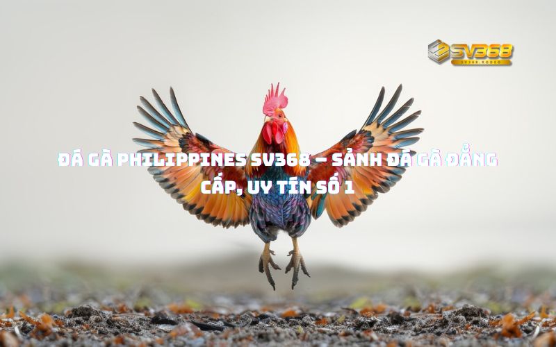Đá Gà Philippines SV368 – Sảnh đá gà đẳng cấp, uy tín số 1