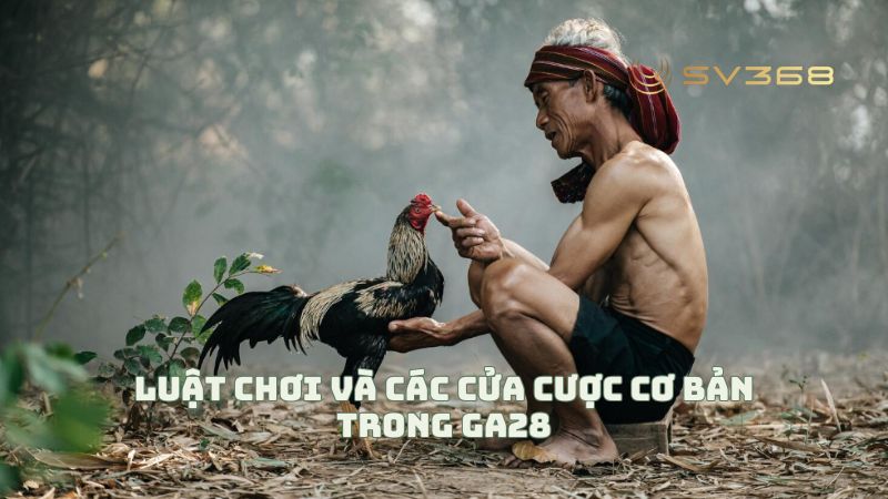 Luật chơi và các cửa cược cơ bản trong GA28